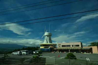 DSC_3664 (Large).JPG